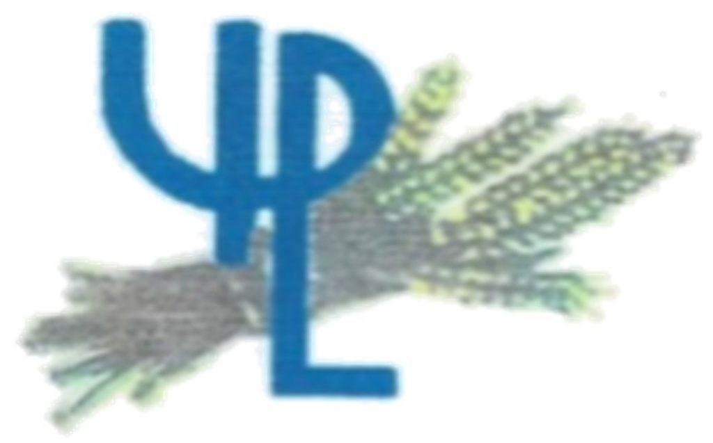 logo yukesh